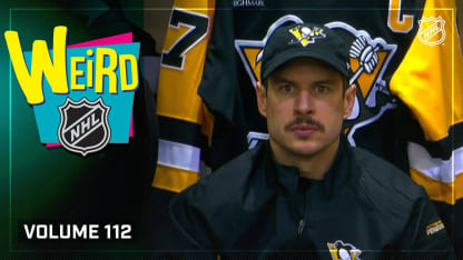 当下效力于 当下效力于