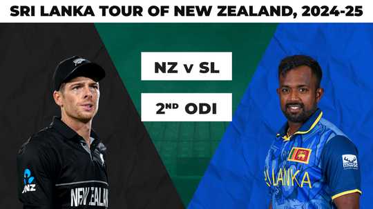 谢伊利用对 谢伊利用对